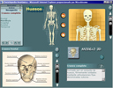 SOFTWARE DE MEDICINA PARA PORTALES MDICOS